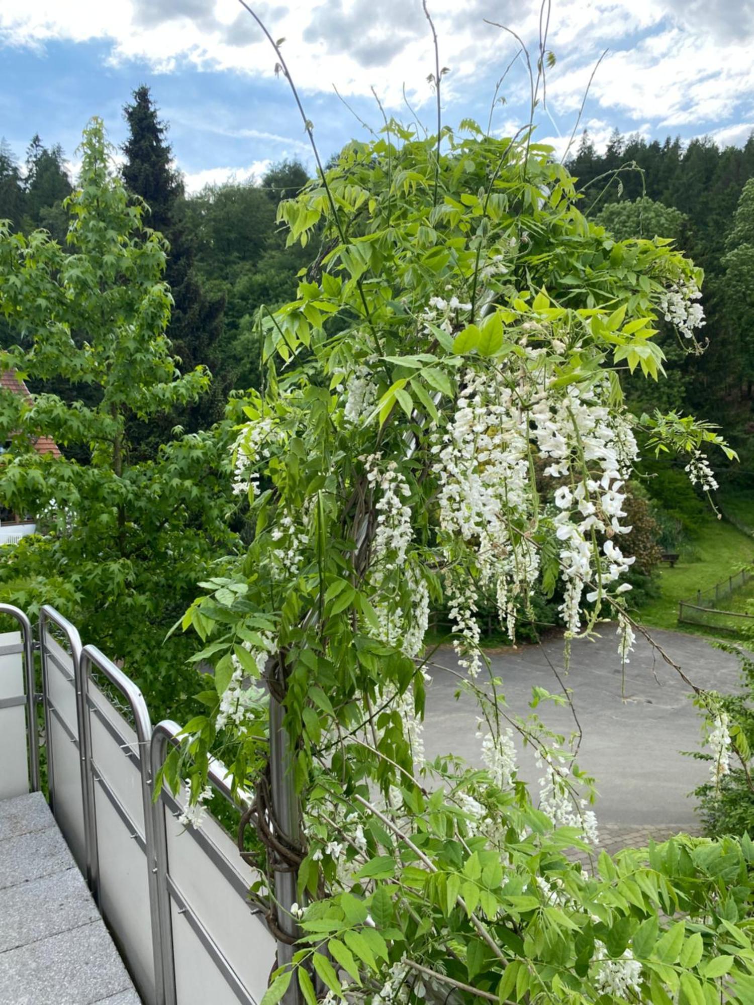 Ferienhof Kroeger 比勒费尔德 外观 照片